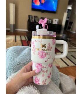 تامبلر مینی استنلی