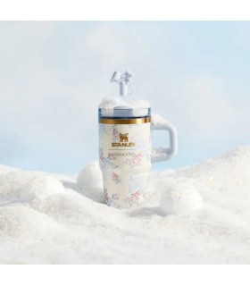 تامبلر مینی استنلی