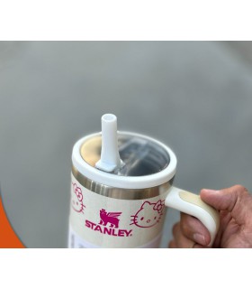 درب ضد نشتی استنلی