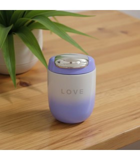 مینی فلاسک بنفش