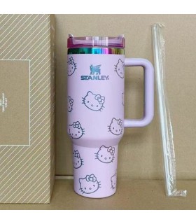 تامبلر استنلی کیتی