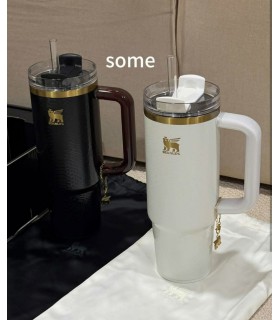 تامبلر لاکچری استنلی پوست ماری ورنی