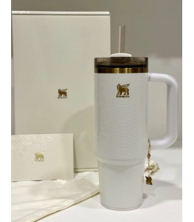 تامبلر لاکچری استنلی پوست ماری ورنی