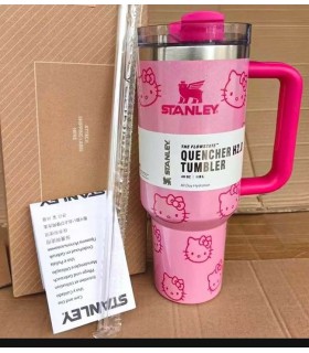 تامبلر استنلی کیتی