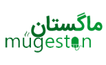 ماگستان