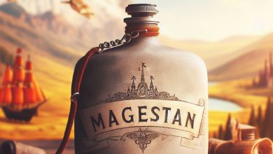 فلاسک ظرف غذا