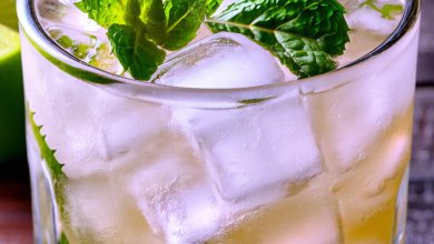 موهیتو خنک خانگی: آموزش و نکات اصلی تهیه