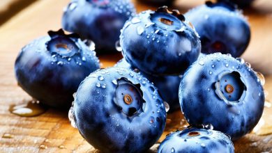 بلوبری طبع سردی دارد. فواید بلوبری: سرد یا گرم؟ نکات اصلی