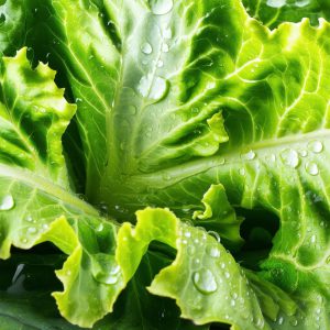 آب کاهو: خواص شگفت انگیز و مضرات احتمالی + نکات اصلی