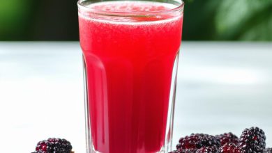 آب شاه توت خانگی: طرز تهیه آسان با نکات اصلی