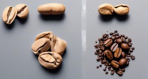 تغییرات فیزیکی دانه قهوه با نکات اصلی برشته کاری