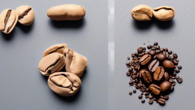 تغییرات فیزیکی دانه قهوه در نکات اصلی برشته کاری