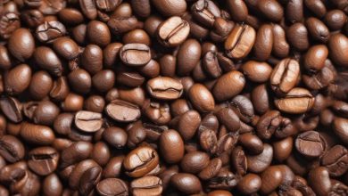 قهوه یکپارچه نکته های اصلی فرآوری و تخمیر