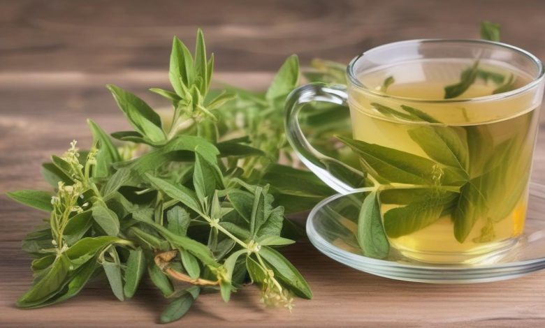 مضرات دمنوش به لیمو چه کسانی نباید بخورند