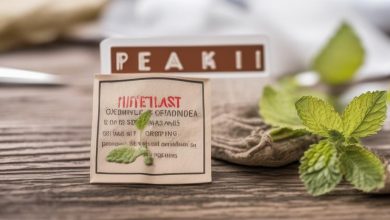 مضرات دمنوش بادرنجبویه آنچه باید بدانید + نکات اصلی