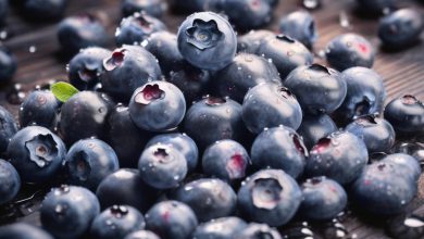 طبع بلوبری: سرد یا گرم؟ خواص و مصلح آن