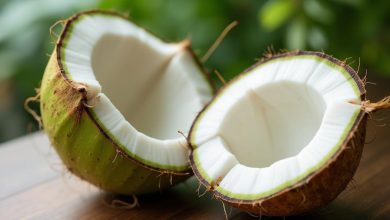 تهیه آسان آب نارگیل در خانه با نکات اصلی