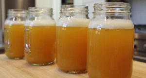 طرز تهیه کامبوجا در خانه با نکات اصلی و خواص آن