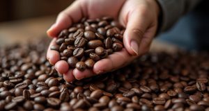 تشخیص قهوه خوب نکات اصلی خرید و نگهداری