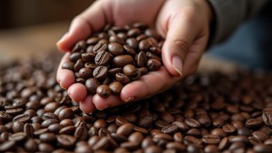 تشخیص قهوه خوب نکات اصلی خرید و نگهداری