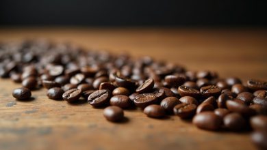 درجه بندی دانه قهوه نکات اصلی برای انتخاب بهتر