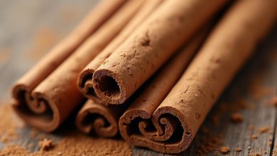 دارچین: رمز جوانی و نکات اصلی جستجو شده در اینترنت