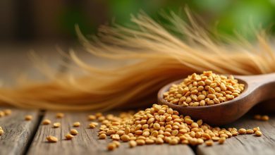 شنبلیله: راهکار نهایی توقف ریزش مو با پرطرفدارترین واژهها