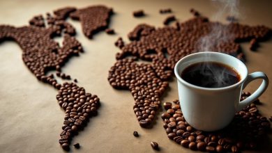 بهترین قهوه جهان: از دانه تا نوشیدنی، کدام کشورها برترند؟