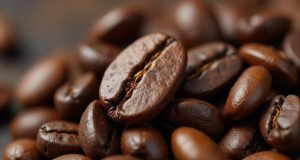 قهوه ارگانیک نکات اصلی و فواید انتخاب آن