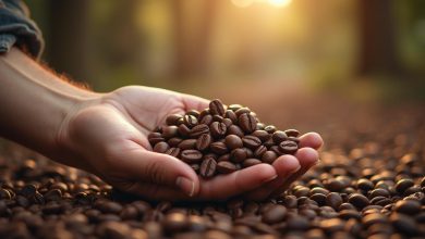 زیرگونه های قهوه نکات اصلی انتخاب و خرید
