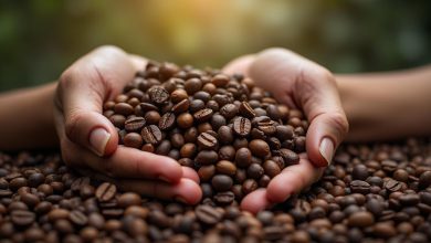 قهوه در جهان تاریخچه نکات اصلی کشت و تجارت