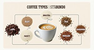 انواع قهوه: راهنمای جامع با نکات اصلی