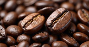 قهوه عربیکا یا روبوستا نکات اصلی در انتخاب بهترین قهوه