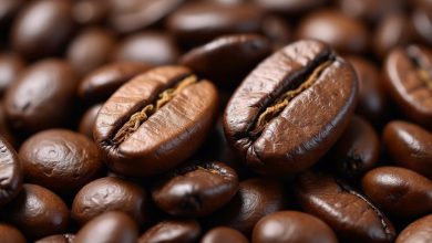 قهوه عربیکا یا روبوستا نکات اصلی در انتخاب بهترین قهوه