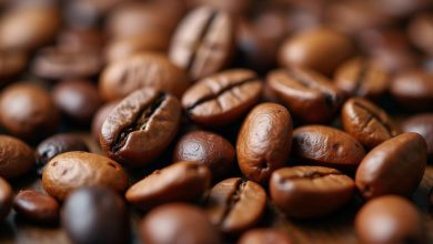 قهوه کنیا طعم بی نظیر نکات اصلی برای شناخت بهتر