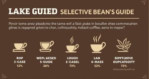 نحوه تشخیص قهوه نکات اصلی برای انتخاب و خرید