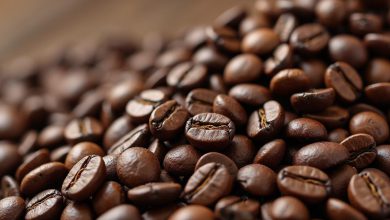 قیمت و خرید قهوه اسپرسو عربیکا نکات اصلی