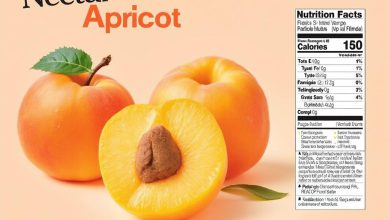 Nectar Apricot: Calories and Nutritional Value, Is It Healthy?