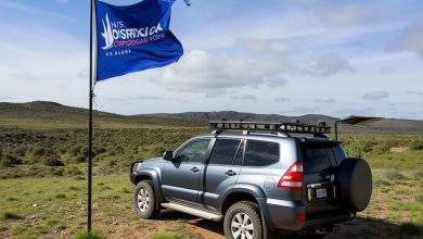 راهنمای خرید میل پرچم آفرودی: نکات مهم و کاربردی