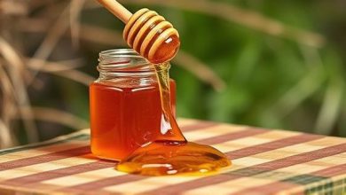 Honey Purchase Tips & Price Trends for 1404