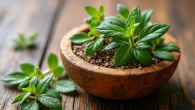 گیاهان مسکن قوی درد عضلات: درمان طبیعی و سریع