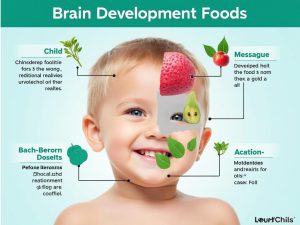 تغذیه سالم کودک: غذاهای مقوی برای رشد مغز