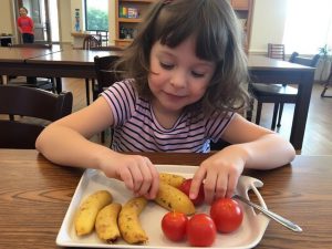 تغذیه کودک در مهد: راهنمای کامل و پرطرفدار