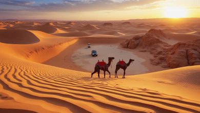 کویر دبی: جاذبه گردشگری، تفریح و زیبایی طبیعی امارات