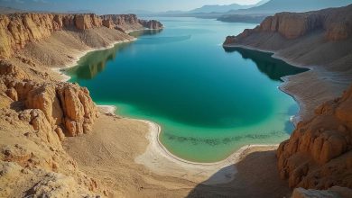 تالاب شادگان خوزستان: آدرس، تصاویر و جاذبه ها