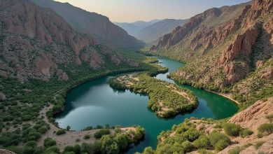 پارک ملی کرخه خوزستان: آدرس و تصاویر دیدنی