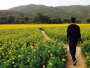 گرداب بن: آدرس، تصاویر و تفریحات! چهارمحال بختیاری