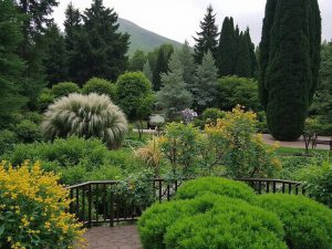 باغ گیاه شناسی: سفری دل انگیز به قلب طبیعت