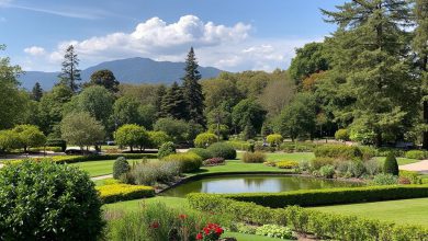 باغ های شیراز: زیباترین باغ های دیدنی و معروف شهر