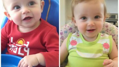 غذای کودک شش ماهه: راهنمای کامل و بهترین انتخاب ها